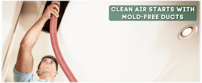 Air Duct Mold Removal in Ashburn VA