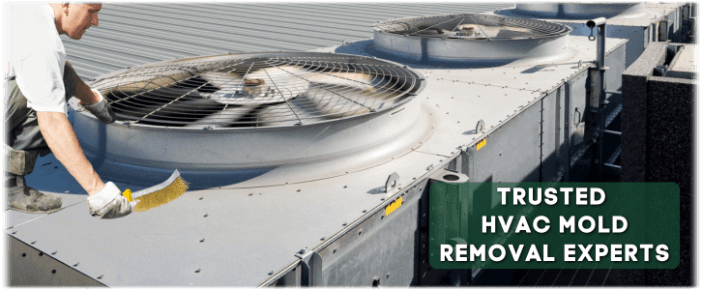 HVAC Mold Removal Ashburn VA